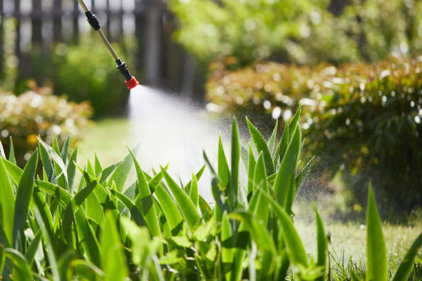 24/7 Emergency Mosquito Control experts in Catasauqua, PA